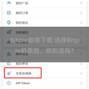 Bitpie教程下载 选择Bitpie的原因，你知道吗？