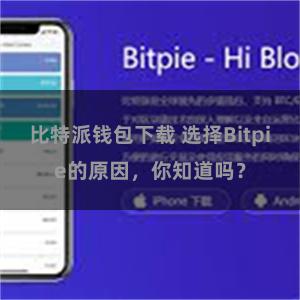 比特派钱包下载 选择Bitpie的原因，你知道吗？