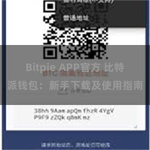 Bitpie APP官方 比特派钱包：新手下载及使用指南