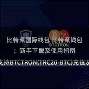 比特派国际钱包 比特派钱包：新手下载及使用指南