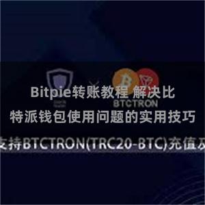 Bitpie转账教程 解决比特派钱包使用问题的实用技巧