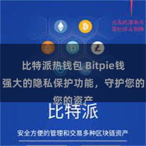 比特派热钱包 Bitpie钱包：强大的隐私保护功能，守护您的资产