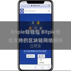 Bitpie轻钱包 Bitpie钱包支持的区块链网络解析