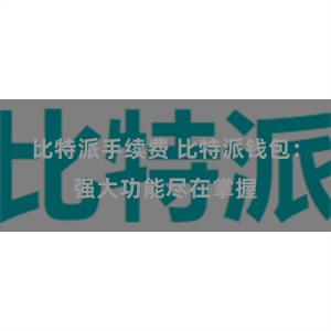 比特派手续费 比特派钱包：强大功能尽在掌握