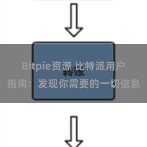 Bitpie资源 比特派用户指南：发现你需要的一切信息