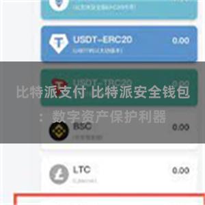 比特派支付 比特派安全钱包：数字资产保护利器