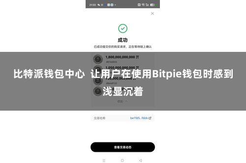 比特派钱包中心  让用户在使用Bitpie钱包时感到浅显沉着