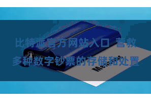 比特派官方网站入口 营救多种数字钞票的存储和处置