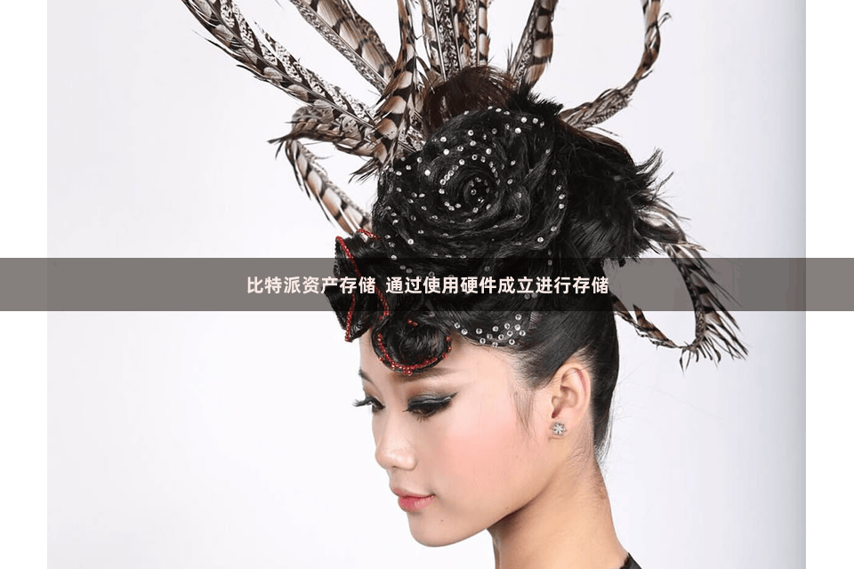 比特派资产存储  通过使用硬件成立进行存储